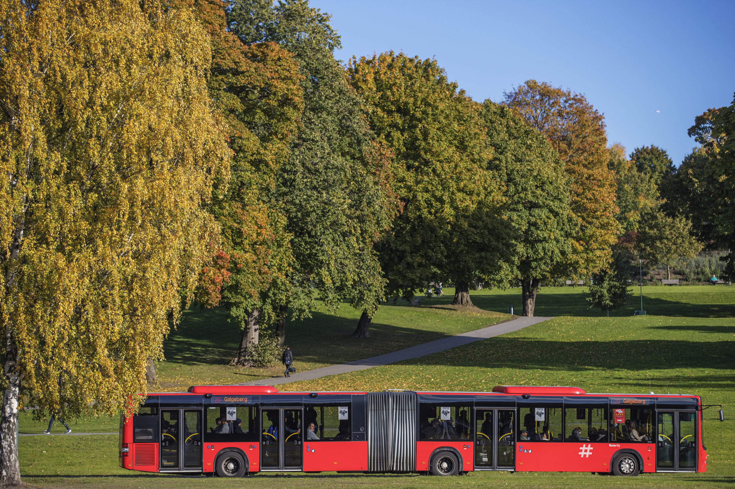 Ruter bybuss kjører forbi en park en høstdag.