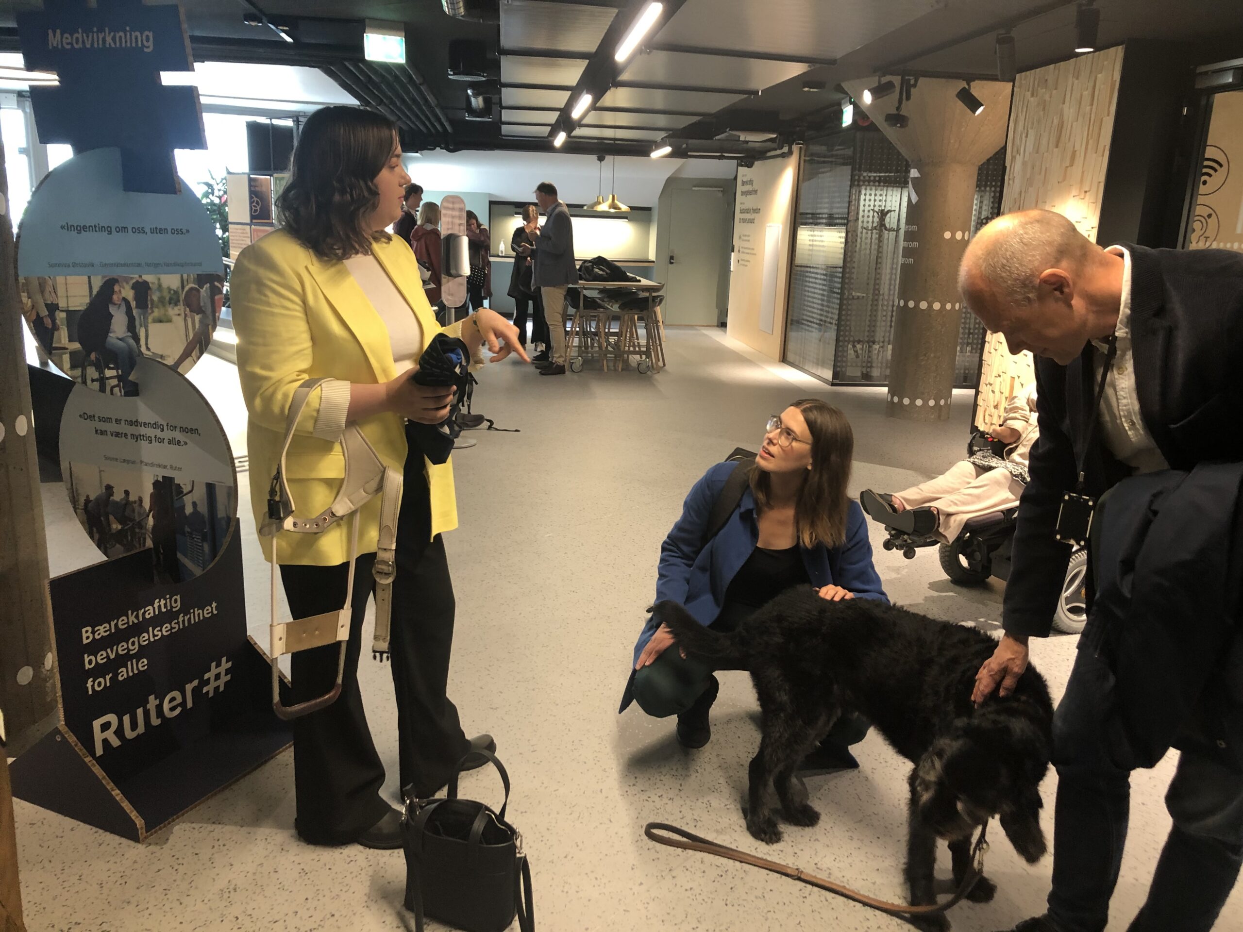 A black guide dog is petted by a man. The female owner of the dog is in conversation with another woman.