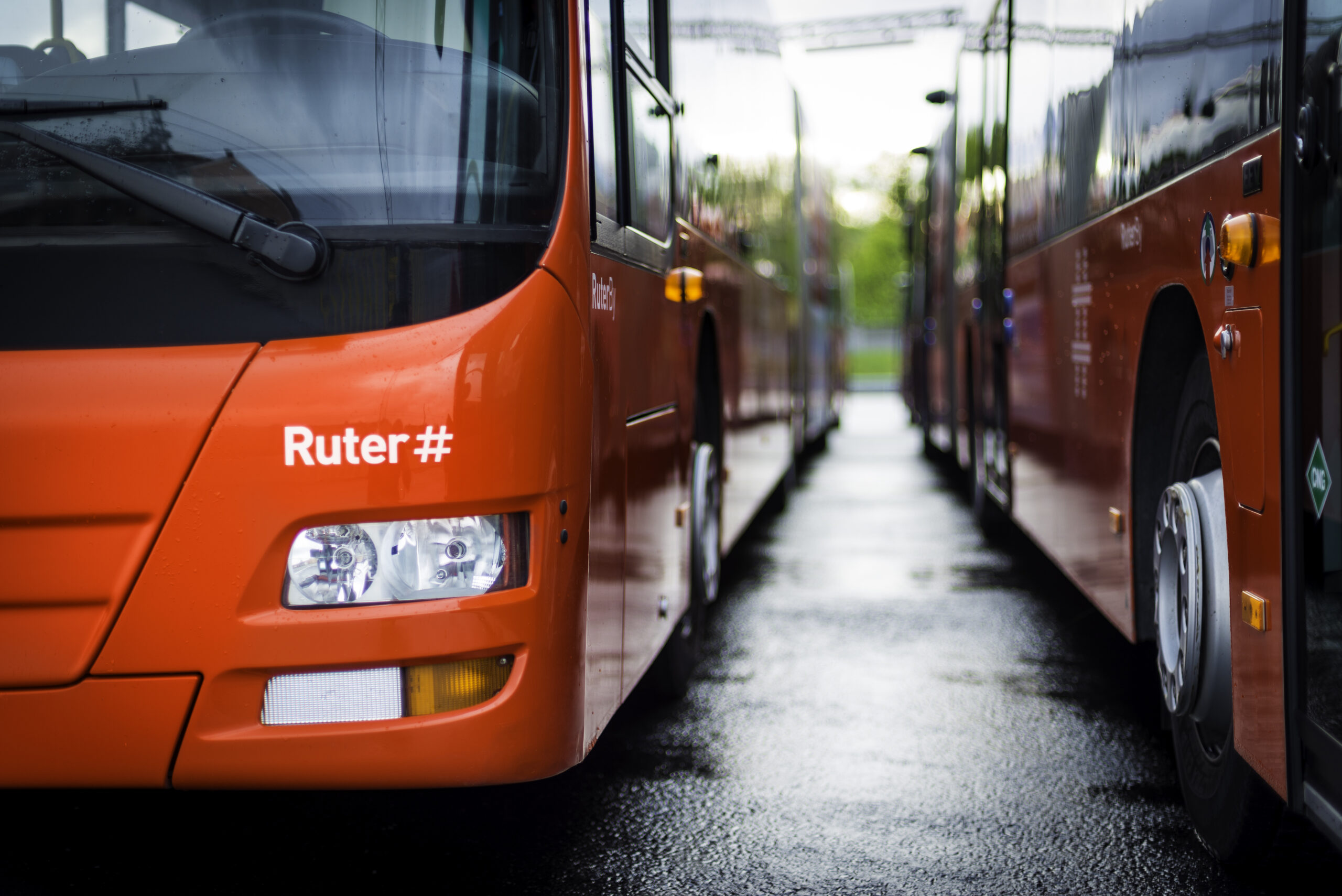 Two red Ruter city buses parked next to each other. Photo taken in the front of the bus.