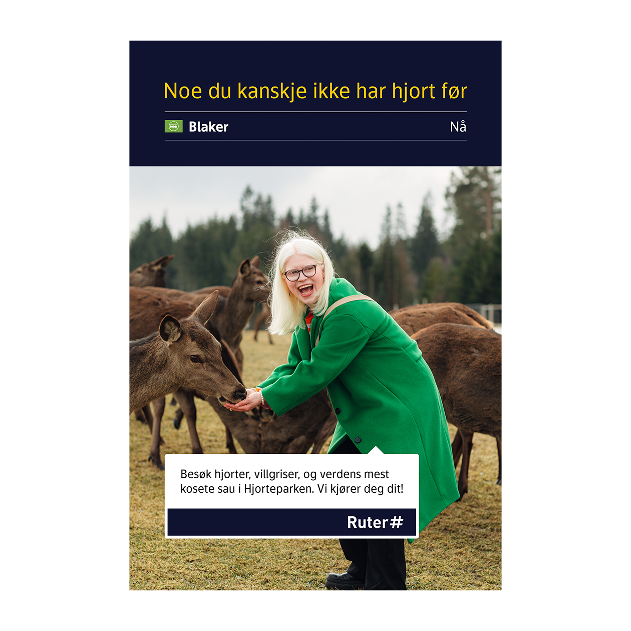 Advertising campaign that shows a woman feeding deers.